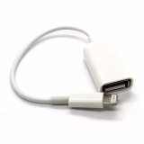 Cáp Lightning USB OTG cho IPad