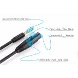 Cáp micro hát Karaok loại ngắn 2 mét (cáp 6.5/6.35mm ra đầu Micro Cannon XLR) UGREEN 20719 (màu đen)
