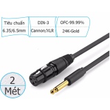 Cáp micro hát Karaok loại ngắn 2 mét (cáp 6.5/6.35mm ra đầu Micro Cannon XLR) UGREEN 20719 (màu đen)
