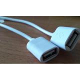 Cáp OTG USB Type C to USB 2.0