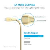 Cáp sạc ANKER Powerline+ Lightning (6ft/1.8m) V3 (Vàng)