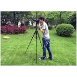 Chân máy ảnh Tripod Beike Q-111