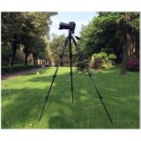 Chân máy ảnh Tripod Beike Q-111