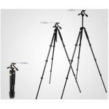 Chân máy ảnh Tripod Beike Q-620 + Remote cho máy ảnh