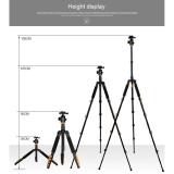 Chân máy ảnh Tripod/ Monopod Beike Q-570 + Remote cho máy ảnh