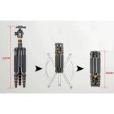 Chân máy ảnh Tripod/ Monopod Beike Q-666