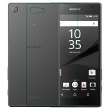 Dán kính cường lực mặt sau Sony Xperia Z5 Compact (Trong)