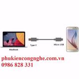 Đầu chuyển USB 3.1 USB Type-C Sang Micro USB