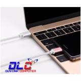 Dây cáp USB 2.0 sang USB Type C dài 2M Ugreen 30505