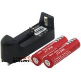 [HCM]Dụng Cụ Sạc Pin Tiểu Đa Năng 48V Pin 2A & 3A