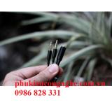 jack gộp audio và micro 3.5 mm