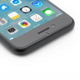 Kính Cường Lực Winner cho iPhone 7/8 (Trong Suốt)