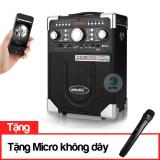 Loa bluetooth karaoke daile s8 - tặng kèm 1 mic không dây