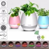 Loa Bluetooth Kiêm Chậu Cây Cảm Ứng Phát Nhạc MSTK