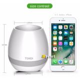 Loa Bluetooth Kiêm Chậu Cây Cảm Ứng Phát Nhạc MSTK