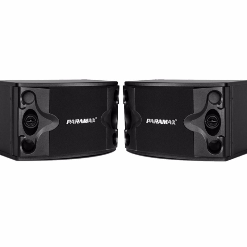 Loa Karaoke Paramax P-300 (đen)
