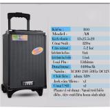 Loa Kéo bluetooth Karaoke Temeisheng A8 Kèm 1 micro không dây