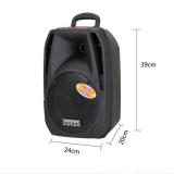 [HCM]Loa kéo Bluetooth Temeisheng A25 (2 tấc) 2 micro