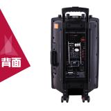 [HCM]Loa kéo bluetooth Temeisheng DP-2305L (4 tấc)