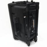 Loa kéo BOSS VN-401 bass 30 + 1 Micro (Đen)