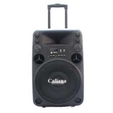 [HCM]Loa kéo caliana Electronics T012 - 3 tấc (Đen)