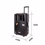 Loa kéo di động Temeisheng SL16