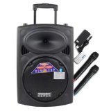 [HCM]Loa kéo Temeisheng DP-107L (Đen)