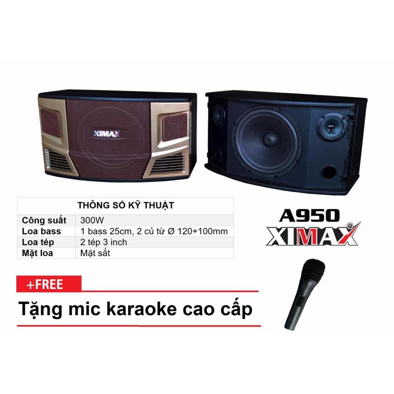 Loa treo tường XIMAX A950 karaoke (bass 25)