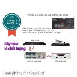 [HCM]LỌC ÂM KARAOKE IDOLS One TP-100