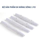 Măng sông quang 1 FO