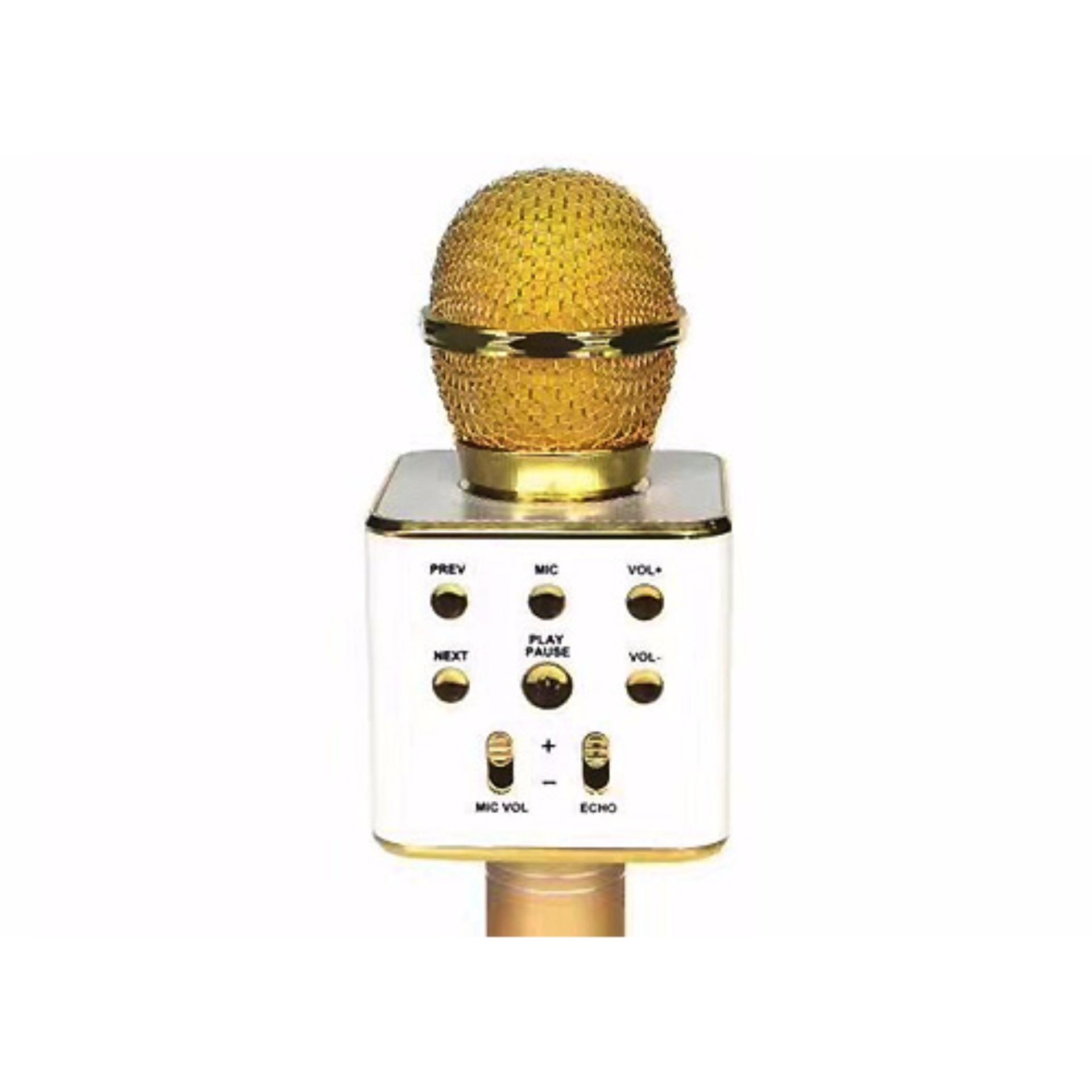 MIC 3IN1 C336 SHEEL LOẠI 1