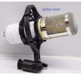 Mic thu âm máy tính BM-800A Hàng Cty ( Trắng )