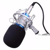 Micro BM-800 kèm sockmount hát karaoke online - thu âm
