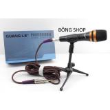 Micro KARAOKE GUANG LE GL-3900 (có dây)