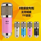 Micro Thu Âm BM 900