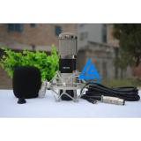 Micro Thu Âm BM 900