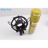 Micro thu âm BM-900 ( Vàng )
