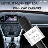 Microphone Karaoke Bluetooth Micgeek Q9 2017