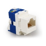 Nhân mạng âm tường Cat6 LTE