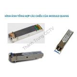 SFP converter và Module quang 1310