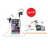 Tai nghe bluetooth music thể thao in ear HOOK