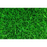 Phông nền chụp hình 3D size 50cmx75cm