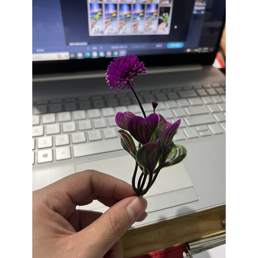 100gr hoa cỏ điểm trang trí - phần 1