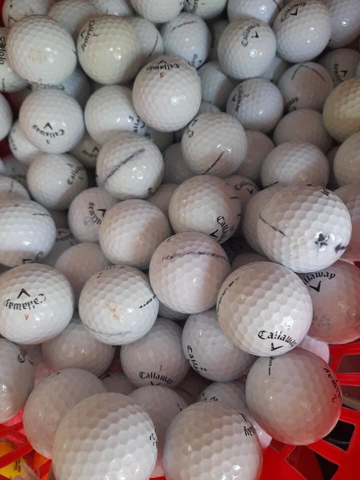 Combo 10 Bóng Golf màu trắng - LOGO PGM ( loại mới và đã s.ử d.ụng)