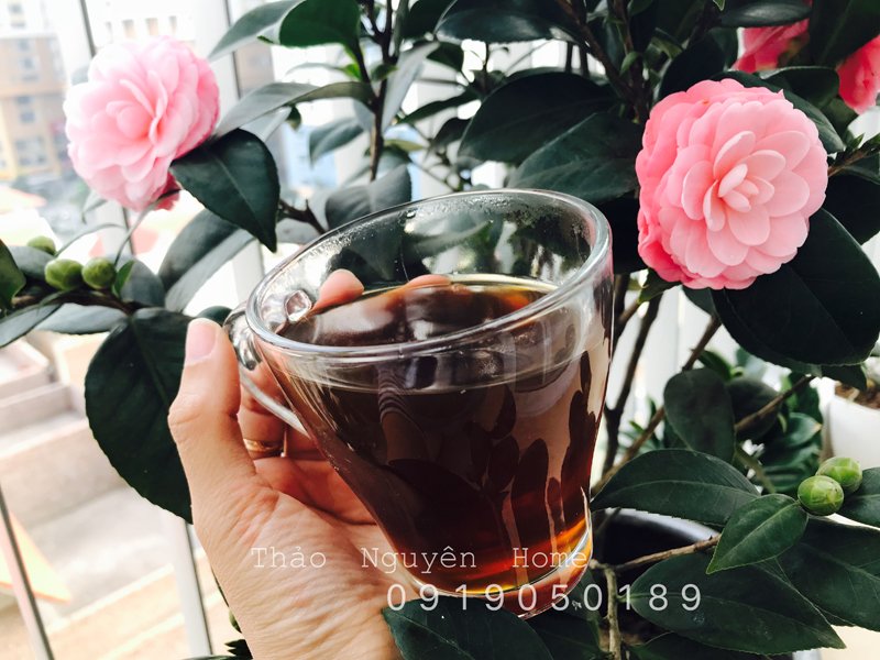 Cao chè vằng lá sẻ set 3 gói dùng thử