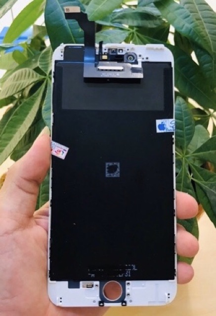 Màn hình IP 6 plus Zin máy. Bảo hành 3 tháng sử dụng