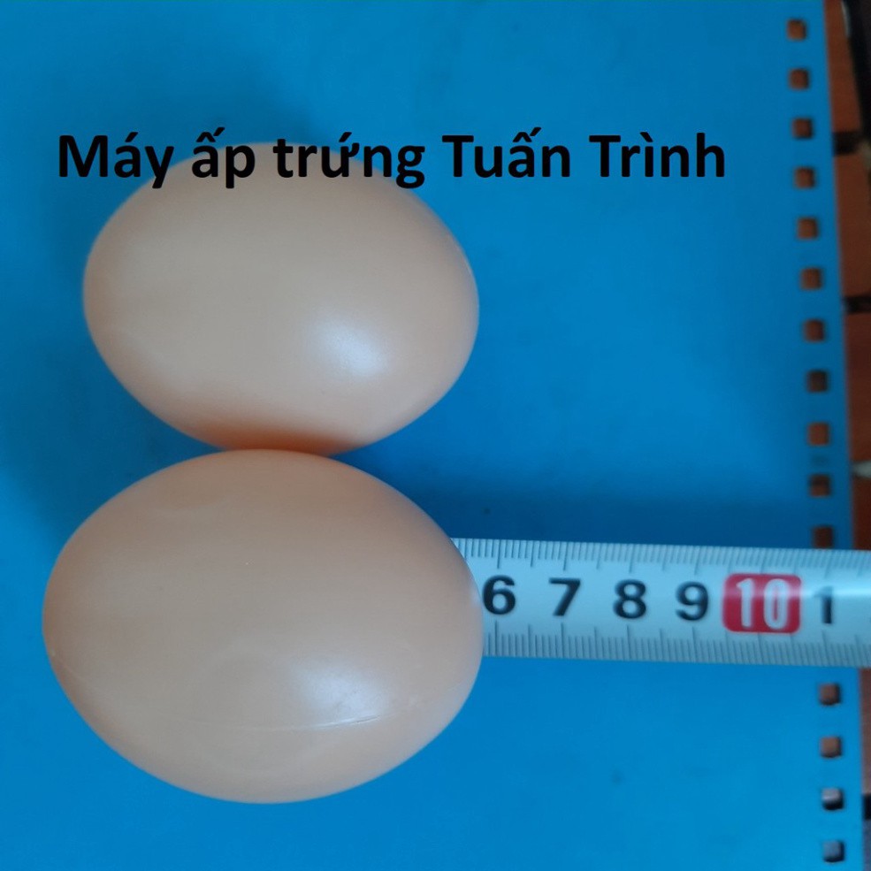 Trứng gà giả mô phỏng kích thích gà mái đẻ trứng, đồ chơi giáo dục nghệ thuật