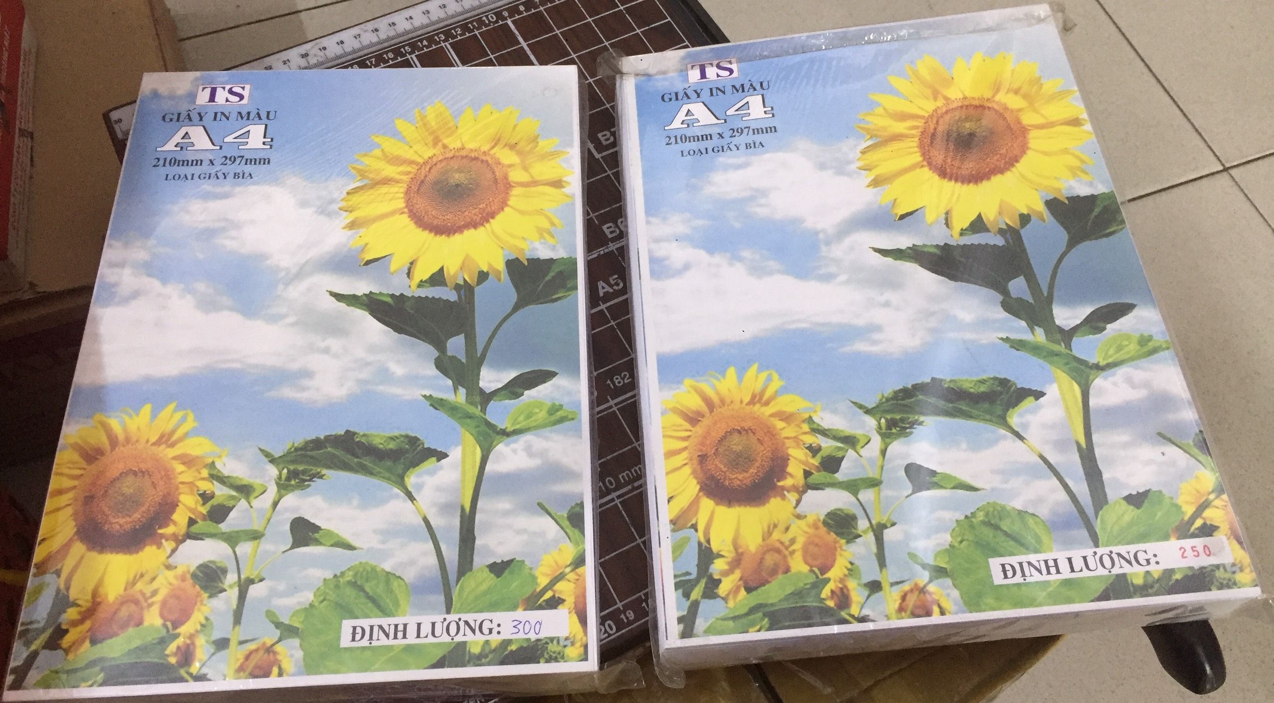 Giấy bìa màu trắng A4 250gsm