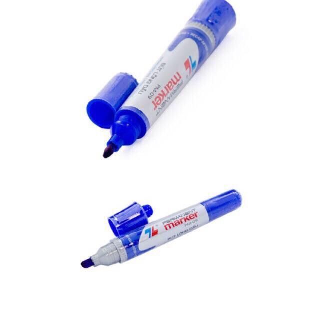 Bút Dạ Dầu Hai Đầu Thiên Long Pm-09 (Không Xoá Được )