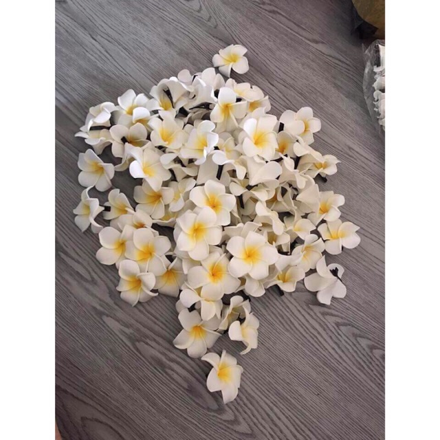 Hoa sứ cài tóc đi biển